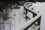 schnee100112-098.jpg