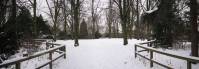 schnee100112-100-pan.jpg