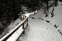schnee100112-105.jpg
