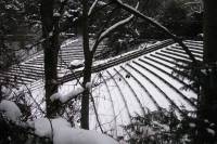 schnee100112-107.jpg