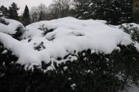 schnee100112-117.jpg