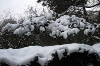 schnee100112-124.jpg