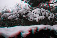 schnee100112-125-3d.jpg