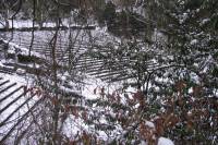 schnee100112-126.jpg