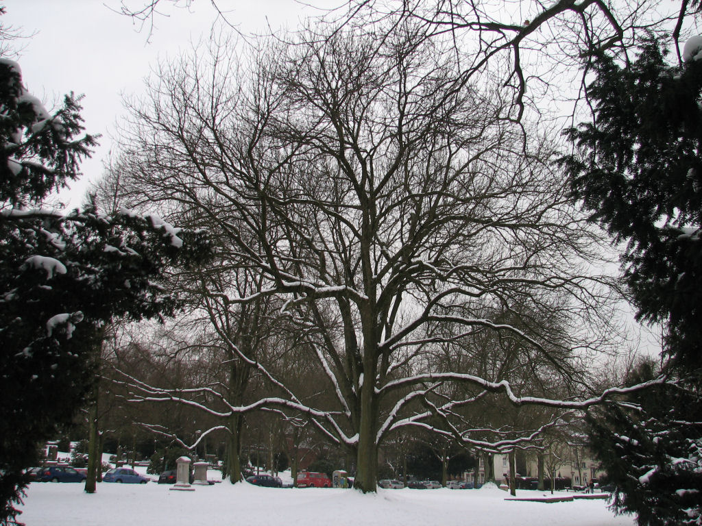 schnee100112-001.jpg