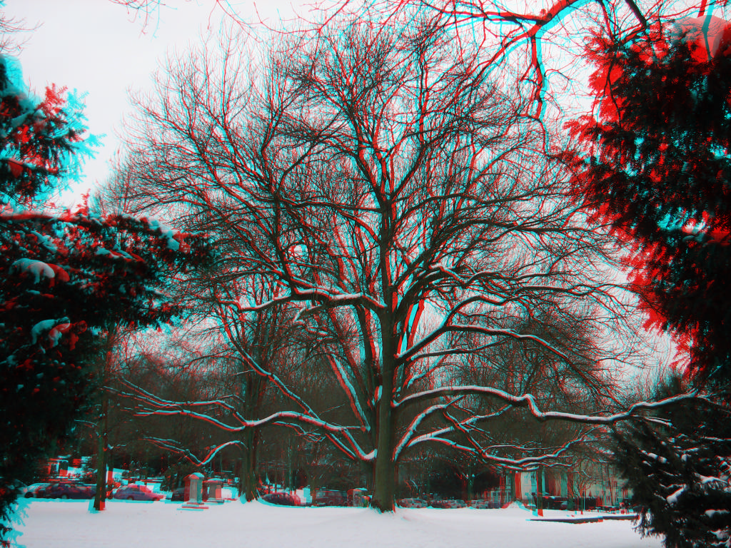 3D
