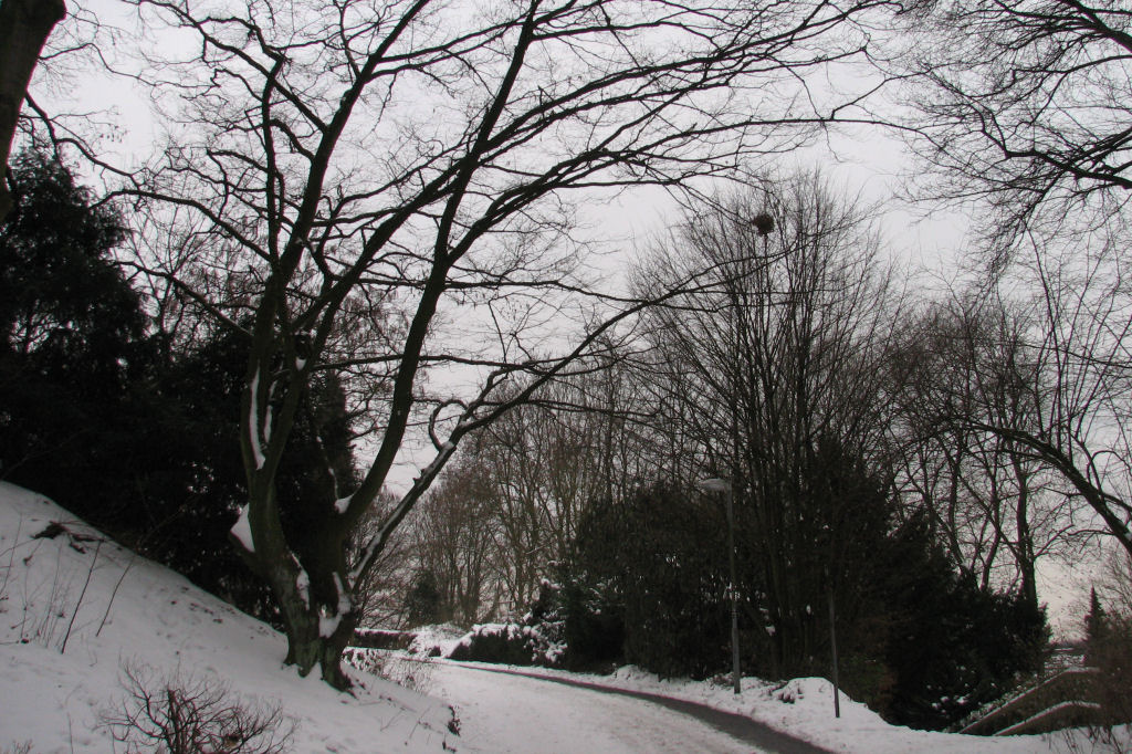 schnee100112-010.jpg