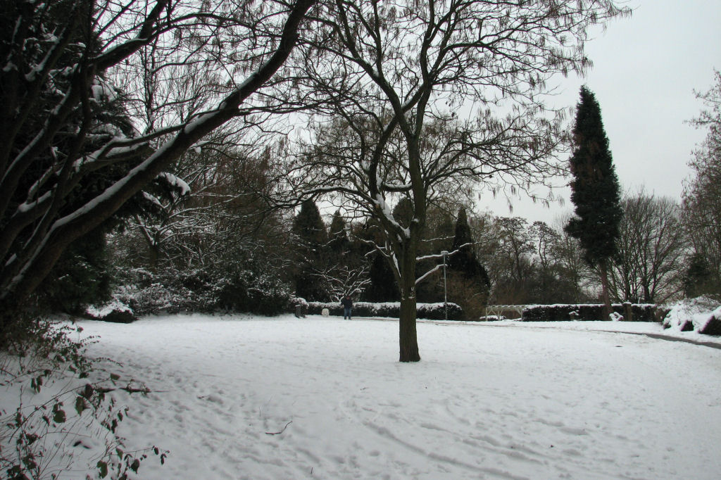 schnee100112-012.jpg