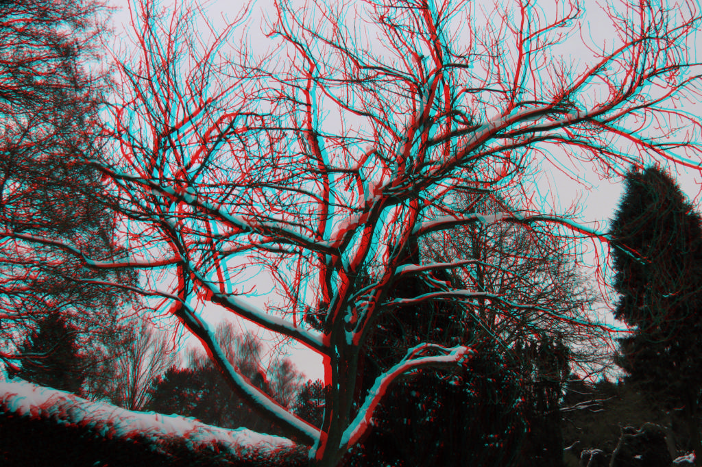 3D
