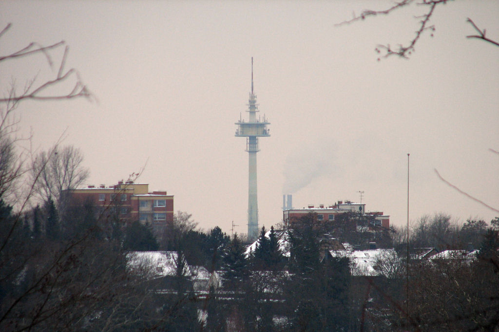 schnee100112-037.jpg