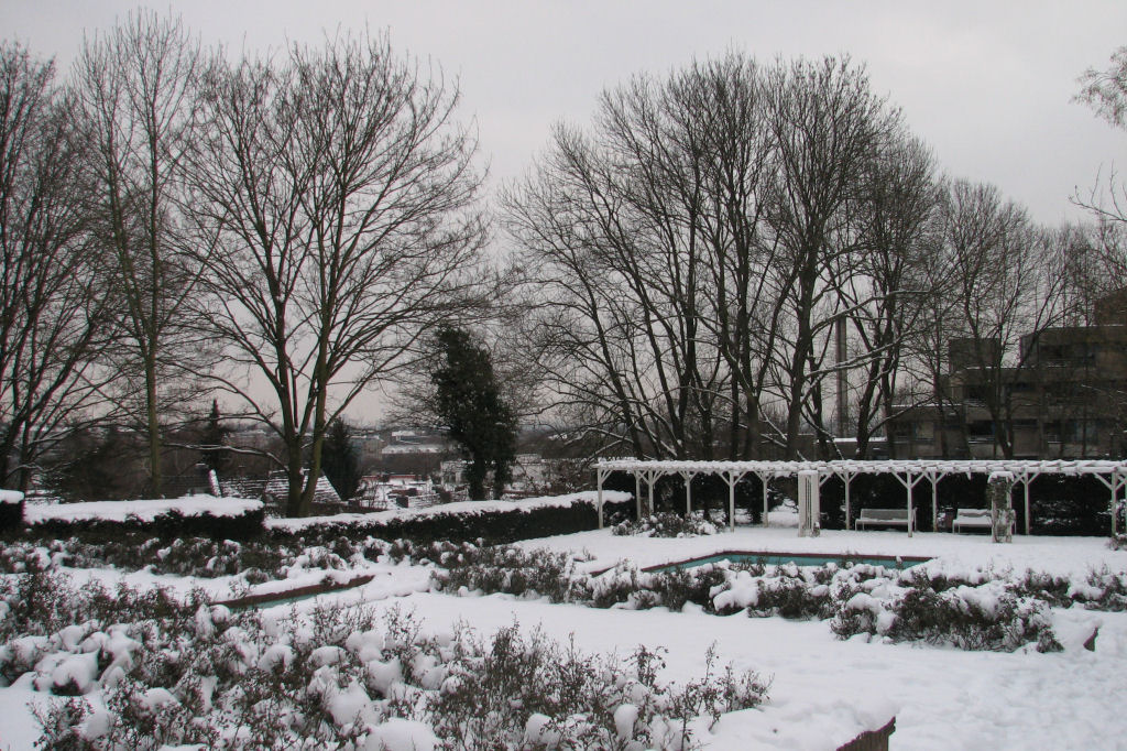 schnee100112-040.jpg