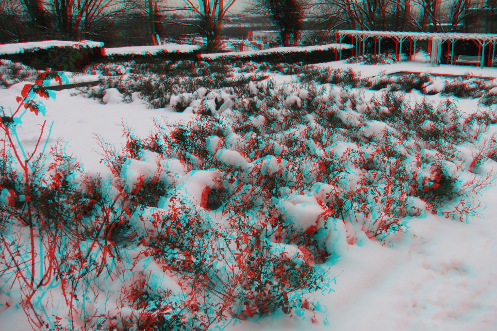3D
