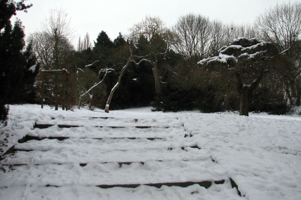 schnee100112-046.jpg