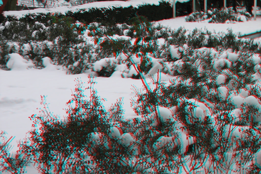 3D
