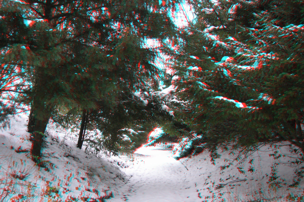 3D
