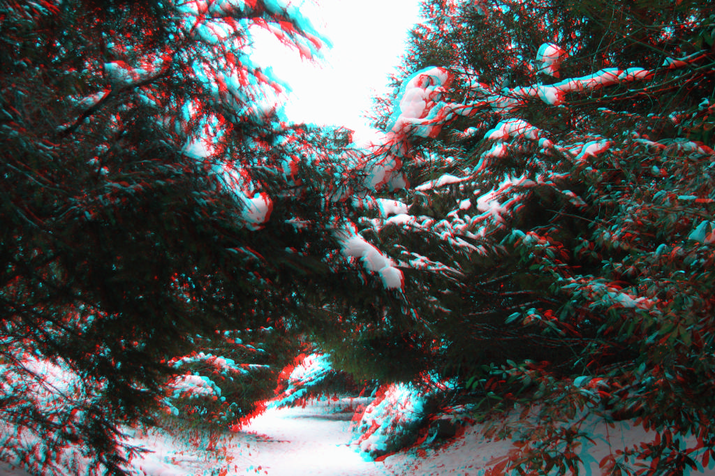3D
