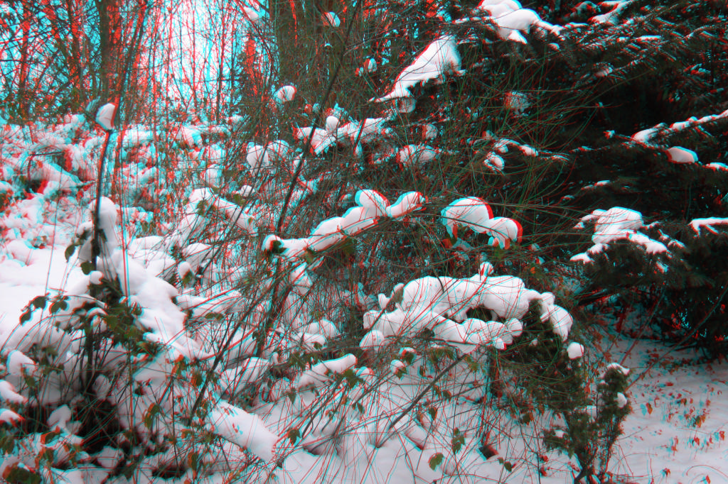 3D
