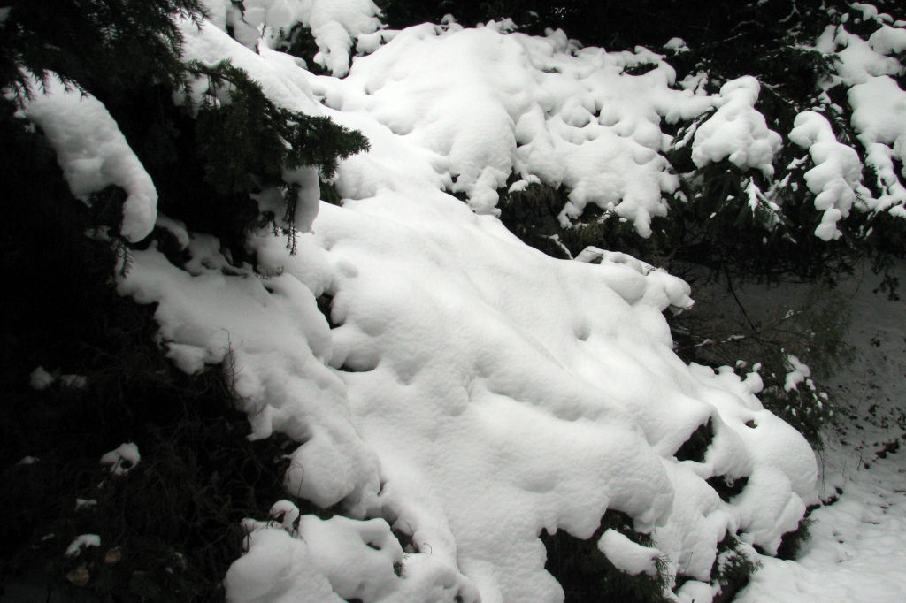 schnee100112-072.jpg