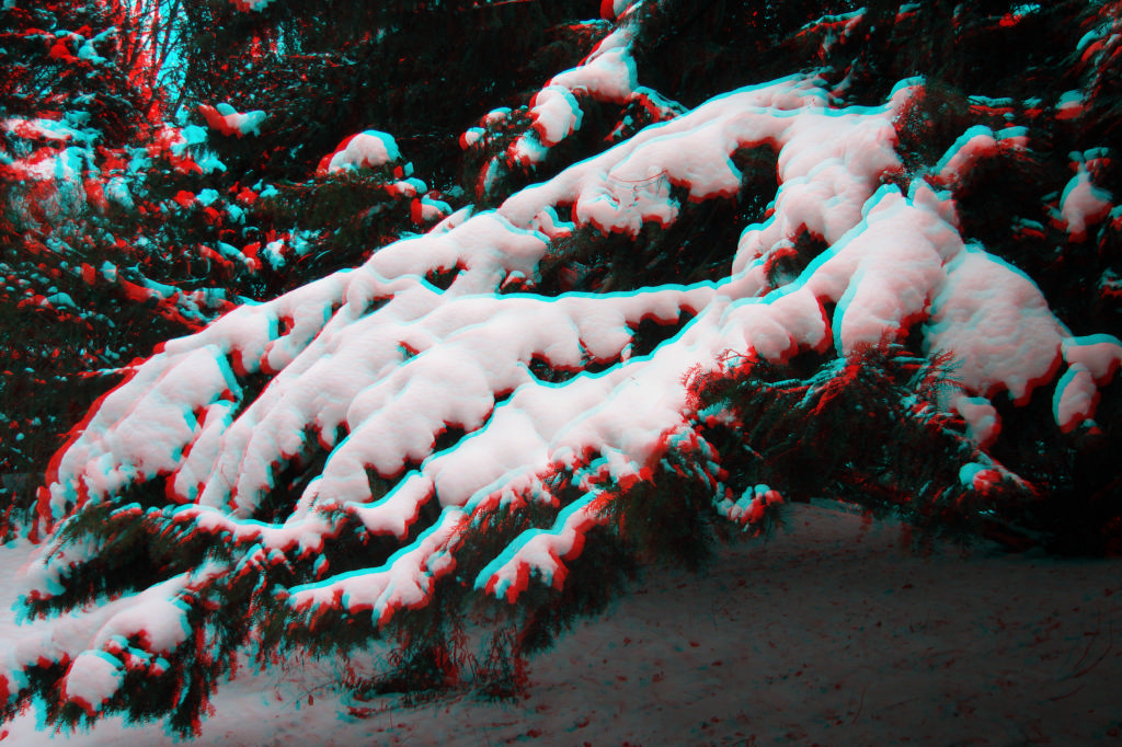 3D
