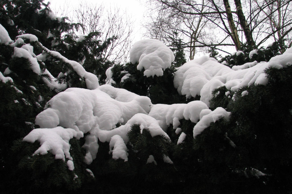 schnee100112-078.jpg