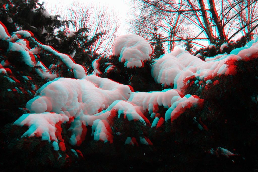 3D
