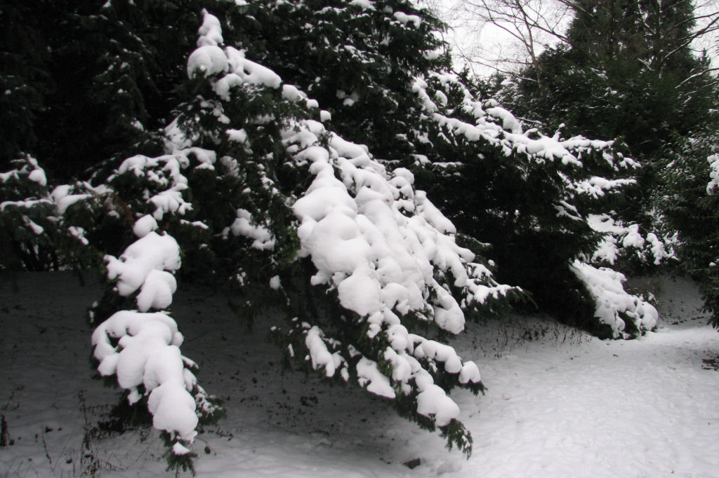 schnee100112-082.jpg