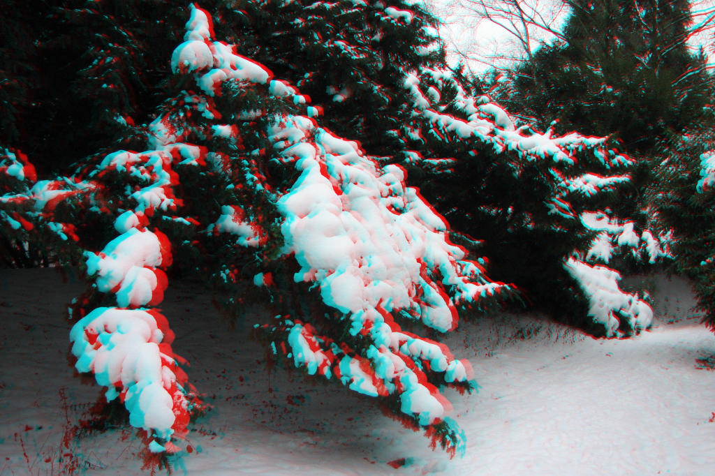 3D

