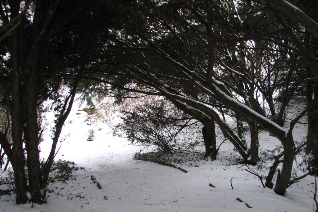 schnee100112-086.jpg