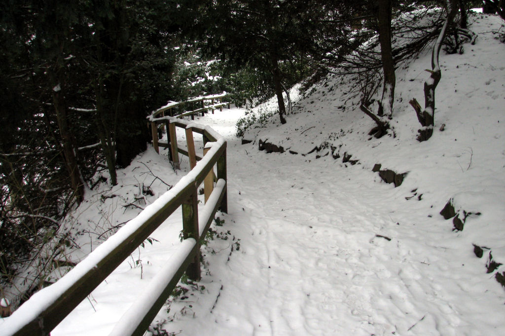 schnee100112-105.jpg