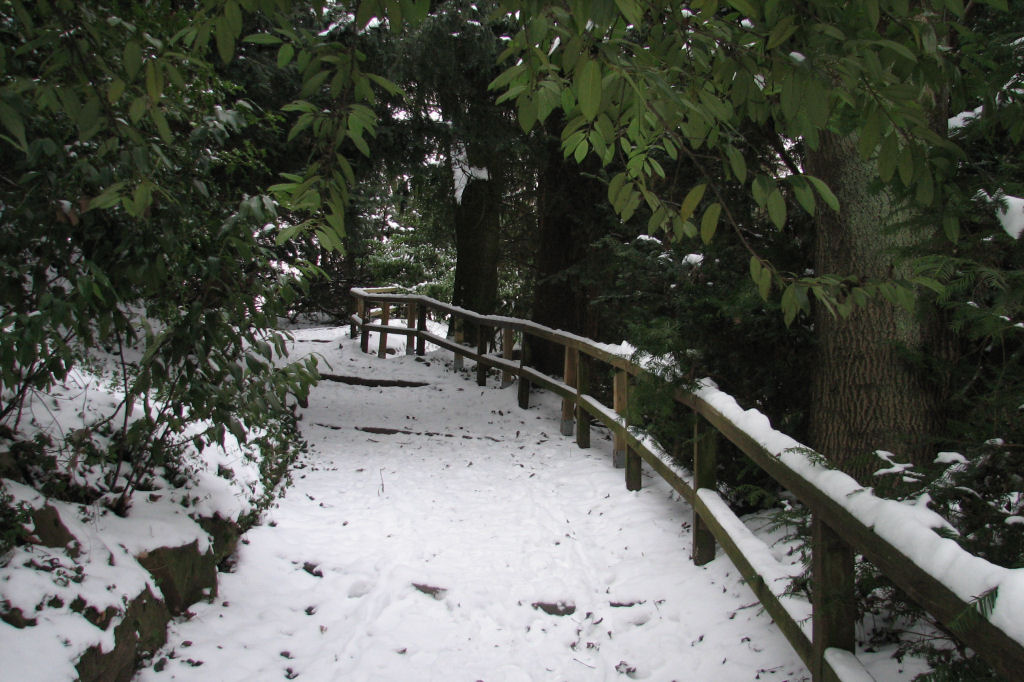 schnee100112-109.jpg