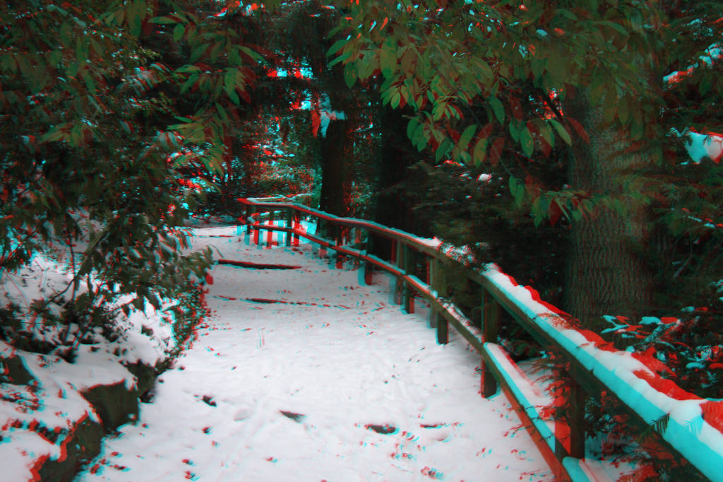 3D
