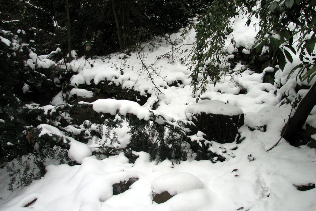 schnee100112-111.jpg