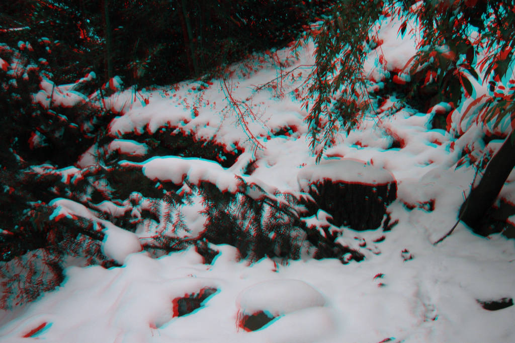3D
