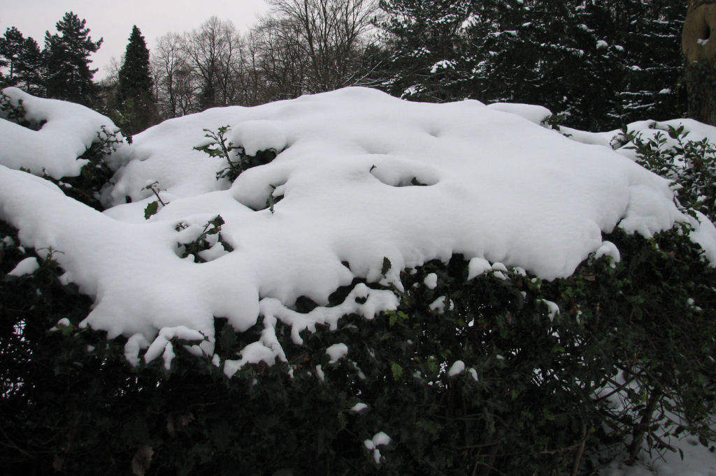 schnee100112-117.jpg