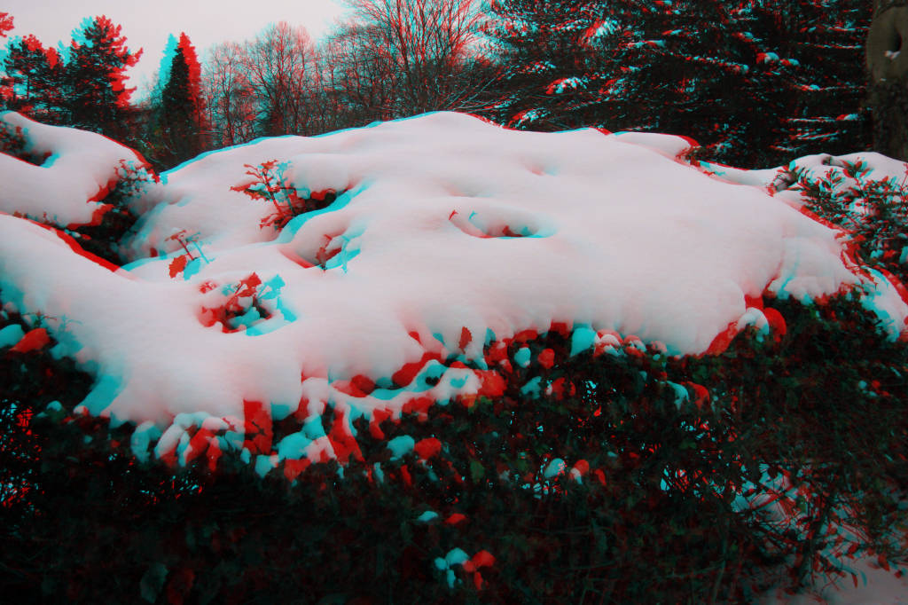 3D
