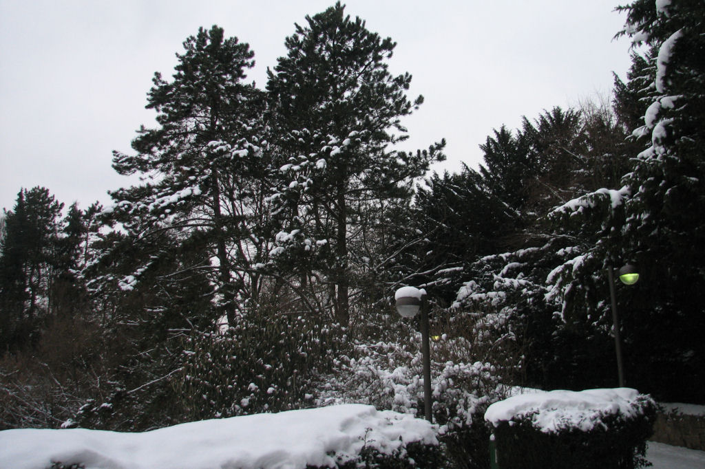 schnee100112-119.jpg