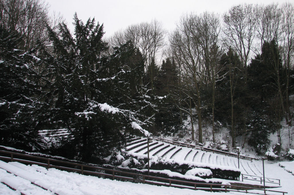 schnee100112-121.jpg