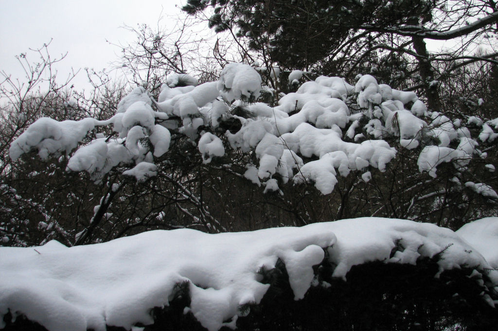 schnee100112-124.jpg