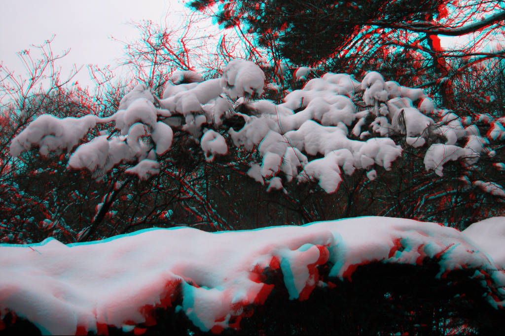 3D
