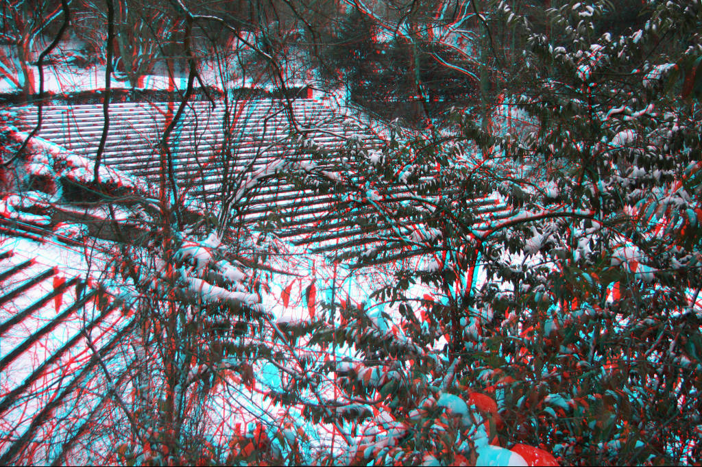 3D

