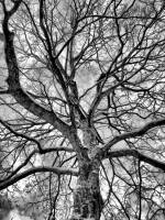 schnee101218-13.jpg