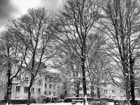 schnee101218-15.jpg