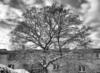 schnee101218-16.jpg