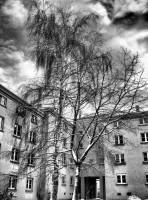 schnee101218-17.jpg
