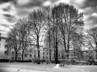 schnee101218-18.jpg