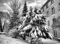 schnee101218-19.jpg