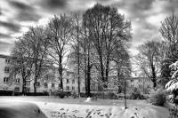 schnee101218-20.jpg