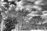 schnee101218-21.jpg