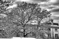 schnee101218-22.jpg