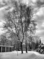 schnee101218-23.jpg
